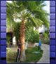 munise74